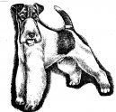 Fox Terrier Wire