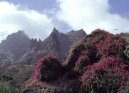 kapverdsk ostrovy, Cape Verde