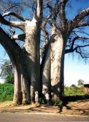 Republic of Malawi