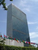 United Nations Organisation