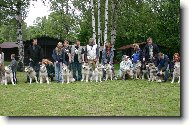 Alaskan Malamute