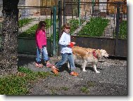 Fila Brasileiro