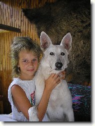 Berger Blanc Suisse, White Swiss Shepherd Dog