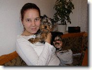 Jorkrsk terier, Yorkshire Terrier,