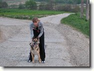 German Shepherd Dog