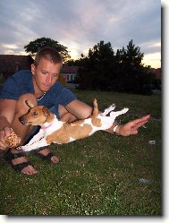 Jack Russell Terrier