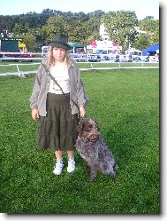 Czech Pointer, Bohemian wire-haired Pointing griffon