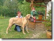 Fila Brasileiro