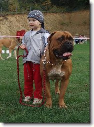 Dogue de Bordeaux