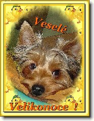 Yorkshire terrier (Dog standard)