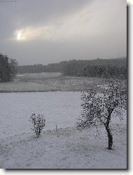 Czech Republic